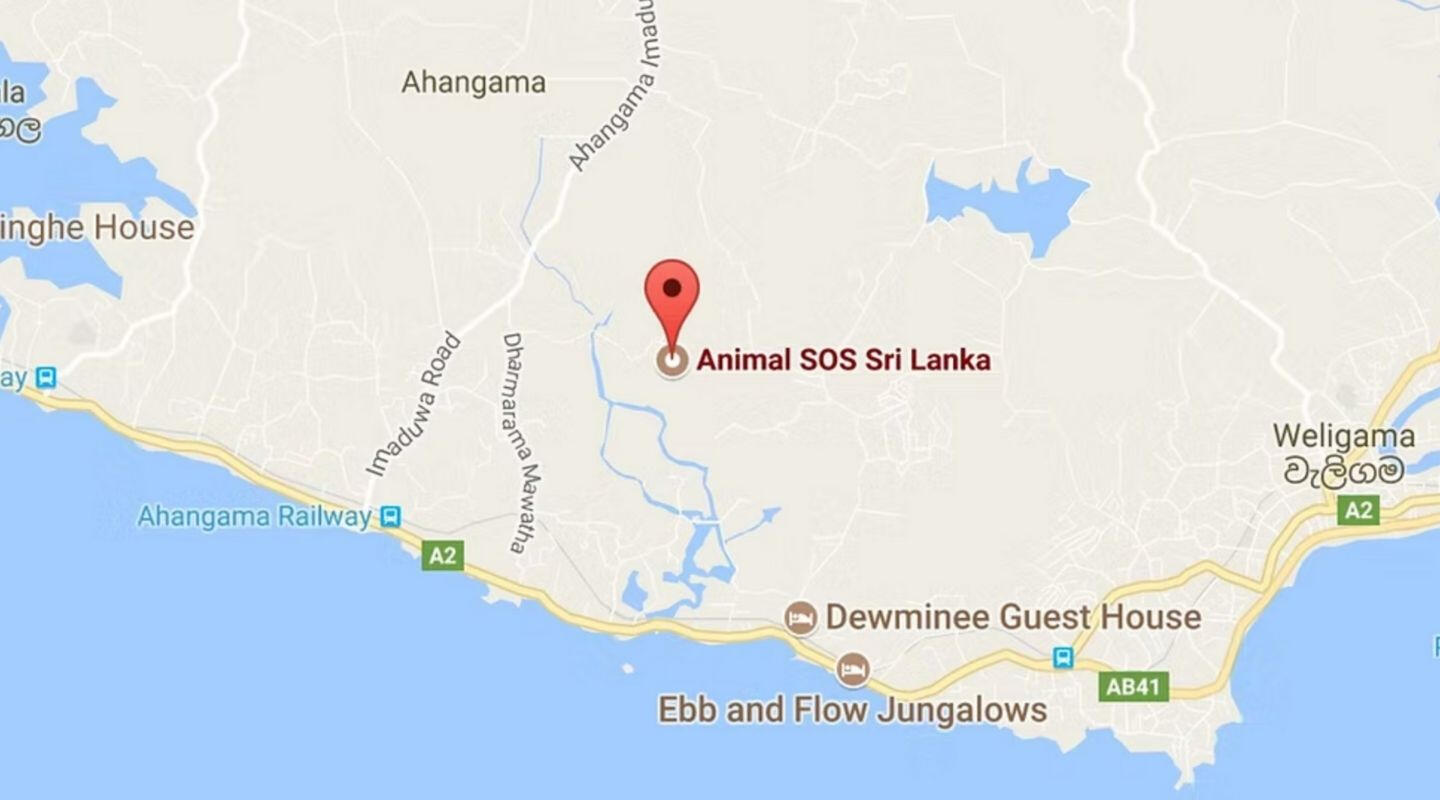 Location of Animal SOS Sri Lanka's Sanctuary Map showing the location of Animal SOS Sri Lanka's sanctuary in Sri Lanka