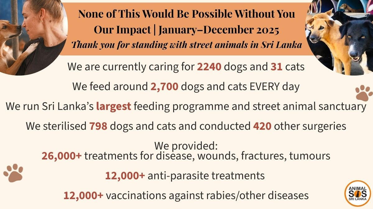 Animal SOS Sri Lanka Impact January - December 2025